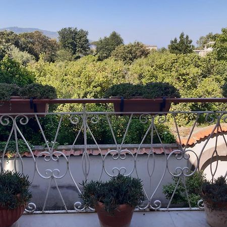 La Casa Di Rosa - Casa Vacanze Meta Exteriér fotografie