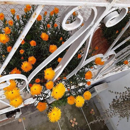 La Casa Di Rosa - Casa Vacanze Meta Exteriér fotografie