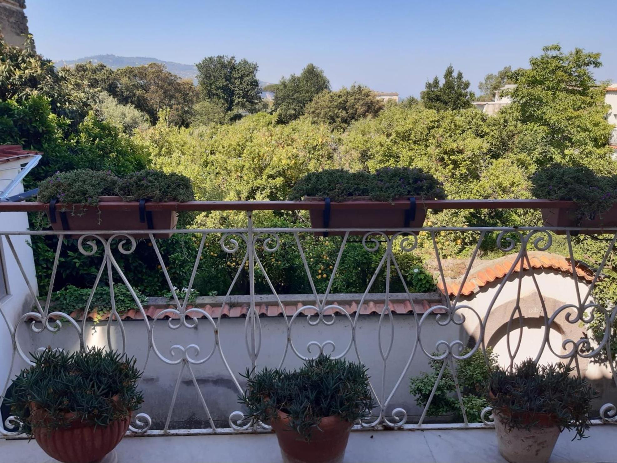 La Casa Di Rosa - Casa Vacanze Meta Exteriér fotografie